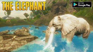 The Elephant  Animal Simulator