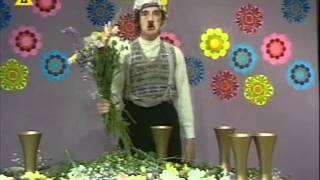Monty Pythons Flying Circus   kompozycje kwiatowe prowadzenie Pan Patafian