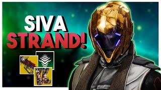 Outbreak & Stand Combo Will Make you a ENDGAME BEEKEEPER SWARMERS Warlock PvE Build - Destiny 2