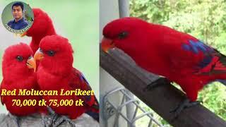 all exotic birds price in Bangladesh