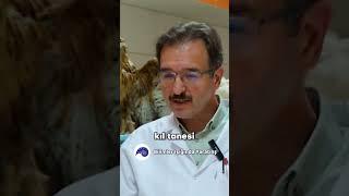 Korktuğumuzda tüylerimiz diken diken oluyor. Bu bir yaratılış mucizesiymiş. Prof. Dr. Hakan Atalgın