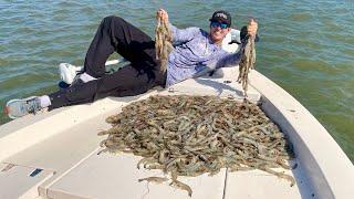 *BIG SHRIMPIN* South Carolina Style Shrimp Catch Clean Cook