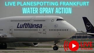 Live Frankfurt Airport Saturday Evening Planespotting Waterspray Action  25 Betrieb FRA EDDF