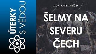 Šelmy na severu Čech