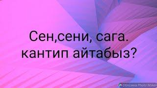 N 41 Сенсенисага создорун пайдалануу