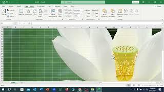 How to Insert Picture Behind Text in Excel  MS Excel