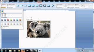 how to set transparent image in microsoft word document 2007