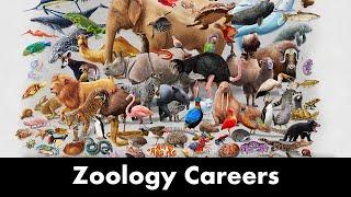 Zoology Careers  Career Guidance  RK Boddu