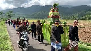 arak-arakan gunungan hasil bumibrengkok Cangkring