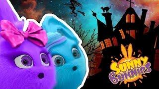 Cartoons for Children  Sunny Bunnies its Halloween  Funny Cartoons For Children