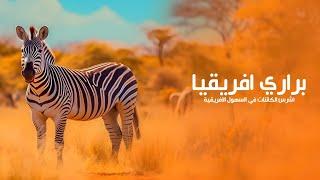 براري افريقيا أرض أخطر وأشرس الحيوانات المفترسة على وجه الأرض  كويست عربية Quest Arabiya
