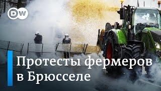 Протесты фермеров в Брюсселе костры из покрышек у офисов Евросоюза и потасовки с полицией