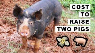 Cost to Raise 2 pigs on 1.5 Acres  