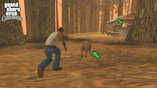 Never FOLLOW THIS PIG in GTA San Andreas Piggsy Easter Egg