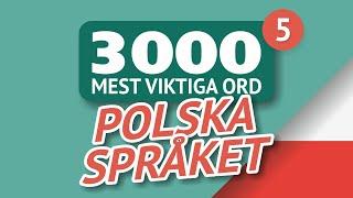   POLSKA ORD – DEL #5 - 300 viktigaste orden 