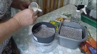 Быстро посеять лук Чернушка. Удобный и простой способ. A convenient and easy way to sow Black onion.