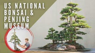 Donating a Bonsai to the US National Bonsai & Penjing Museum