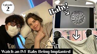 IVF Egg Retrieval & Embryo Transfer  Our Fertility Journey Episode 2