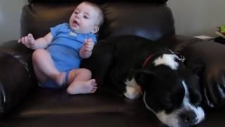 Babys Fart Surprises Dog