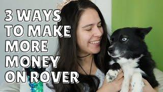 HOW TO MAKE MONEY DOG SITTING  Advice for A Successful Rover Experience