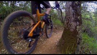 Trail Ninja Marin California Trail Riding Guide - Redwoods Single Track and a Pair of Speedos