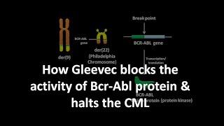 Gleevec mechanism of action