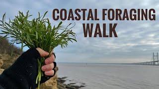 Coastal Foraging Walk- Rock Samphire Sea Radish and more…