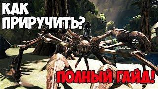 КАК ПРИРУЧИТЬ КАРКИНОСА?ГИГАНТСКИЙ КРАБ — ПОЛНЫЙ ГАЙДKARKINOS TAMING ► Ark Survival Evolved #11