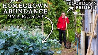 Impressive Vegetable Garden & Permaculture Food Forest Created During Lockdown