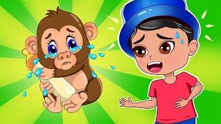 The Boo Boo Animals Songs Cartoon  TigiBoo 2D