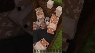 Minecraft asmr #shorts #minecraft