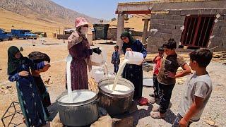 A nomadic family while the men of the house work Jan Bibi makes curd @peren466