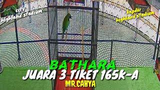 HLS  cucak hijau BATHARA  JUARA 3 TIKET 165K-A kopdar highland stadium