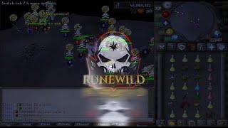 RUNEWILD THE #1 PVP RSPS