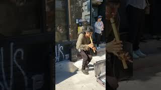 #Peruvian  #musician  plays #flute #southamerica in #toronto #canada