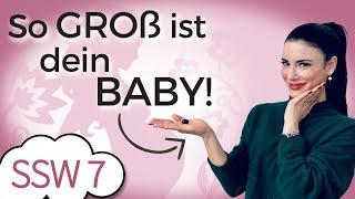 SSW 7 Kreislauf spielt verrückt  Baby ist so groß wie eine Heidelbeere  Mein Kinderwunsch