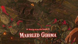 Marbled Gohma Boss Fight - Zelda Tears of the Kingdom