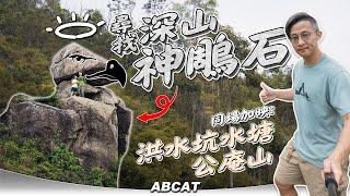尋找深山『神鵰石』同場加映：洪水坑水塘 公庵山｜4K Hiking Vlog＃132 Hung Shui Hang Reservoir Divine Eagle Stone Kung Um