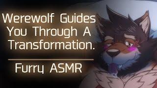 Furry ASMR Werewolf Guides You Through A Transformation  Thanksgivin’ Special