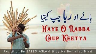 Haye O Rabba Chup Keetya By Saeed Aslam New Most Super Hit Punjabi Poetry WhatsApp Status 2022