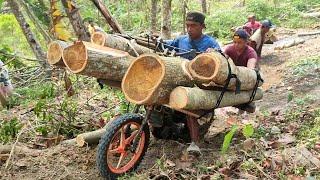 transporting wood using a homemade motorbike skillfully