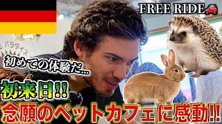 【FREE RIDE】日本に着いたばかりの外国人を車でおもてなししてみた　#FREERIDE #外国人 #おもてなし