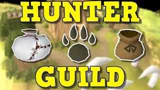 Varlamore Changes Hunter Forever With The New Hunters Guild  Hunter Rumours Are Amazing OSRS