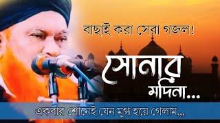 সোনার মদিনা আমার প্রানের মদিনা সব ভুলিবো কিন্তু তোমায় ভুলতে পারিনা