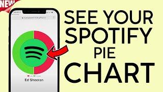EASY How to see Your Spotify Pie Chart NEW 2022  GITHUB Pie Boy Darren Huang #drnhng