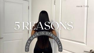 5 Reasons Youre Struggling In Your Hair Journey