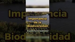 Importancia De La Biodiversidad  #Biodiverso