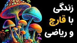 نگاه به زندگی از طریق قارچ جادویی و ریاضی