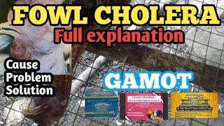 FOWL CHOLERA TREATMENT AND HOW TO AVOID IT. FULL EXPLANATION