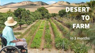 How He Turned Desert Sand Into Fertile Farm Land In 3 Months